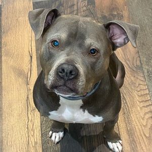 Meet your Posher, Matt